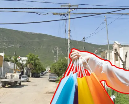 El famoso mercadito de Escobedo con los mejores puestos de Nuevo León