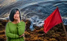 ¿Peligran las playas de Yucatán por la invasión de sargazo? Esto se sabe