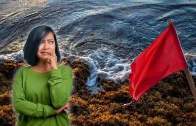 ¿Peligran las playas de Yucatán por la invasión de sargazo? Esto se sabe