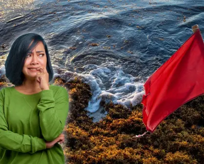 ¿Peligran las playas de Yucatán por la invasión de sargazo? Esto se sabe