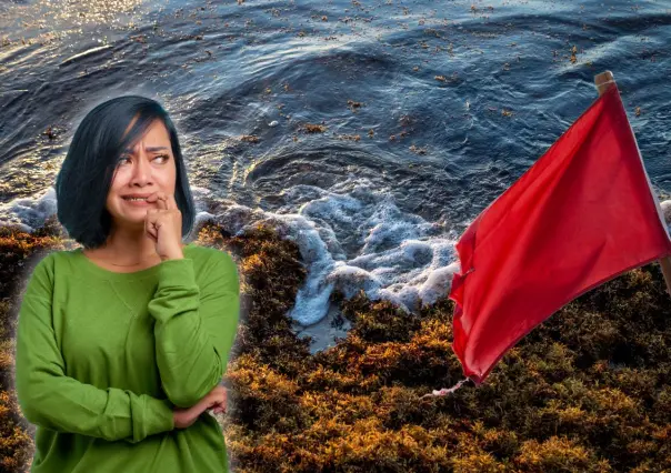 ¿Peligran las playas de Yucatán por la invasión de sargazo? Esto se sabe