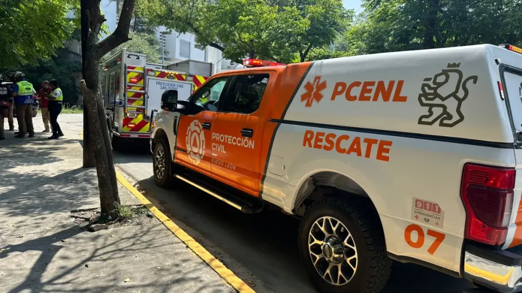 ¡Se queda sin frenos! Conductor pierde el control y cae con camioneta a un barranco en San Pedro; hay 5 heridos