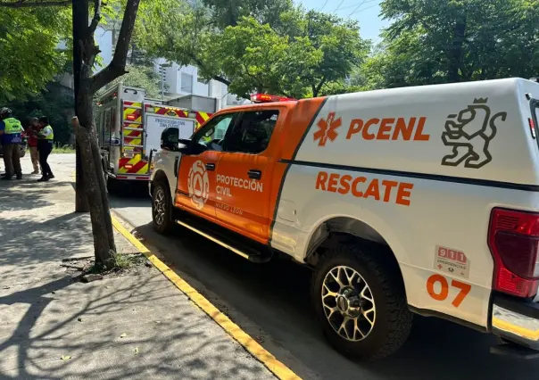 ¡Se queda sin frenos! Conductor pierde el control y cae con camioneta a un barranco en San Pedro; hay 5 heridos