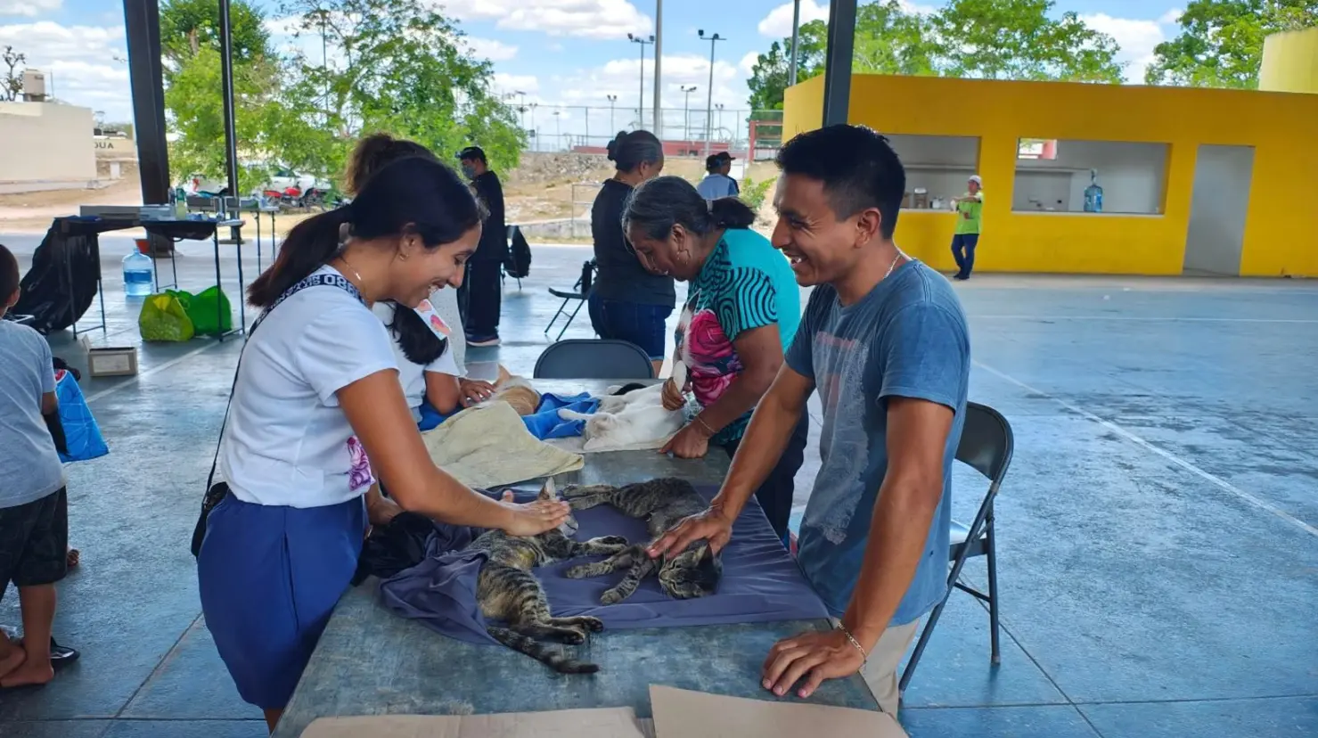¿Cómo se llevaron a cabo las esterilizaciones?. Foto: Cortesía
