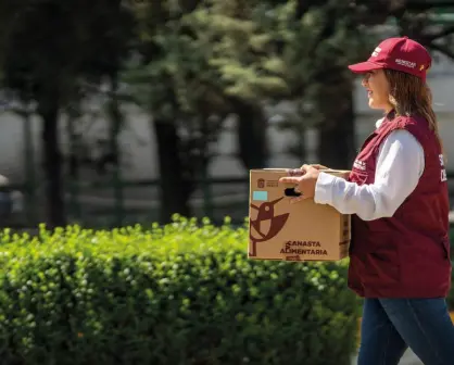Alimentación para el Bienestar Edomex: lo que debes saber sobre las despensas gratuitas