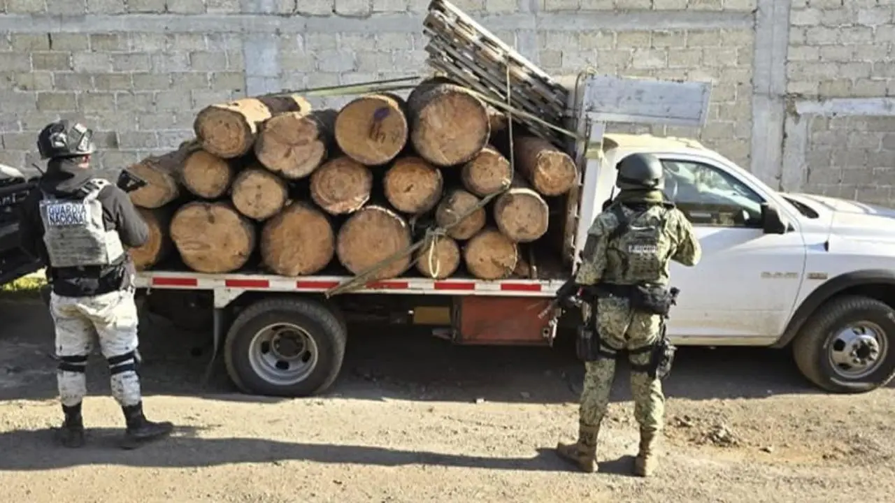 Intensifican acciones contra tala ilegal en la zona fronteriza con Edomex y CDMX. Foto: En Directo Noticias Morelos