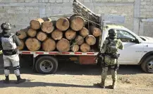 Intensifican acciones contra tala ilegal en la zona fronteriza con Edomex y CDMX
