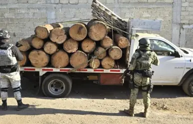 Intensifican acciones contra tala ilegal en la zona fronteriza con Edomex y CDMX