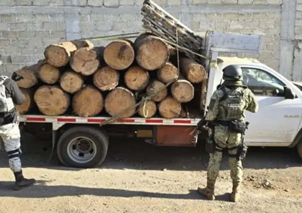 Intensifican acciones contra tala ilegal en la zona fronteriza con Edomex y CDMX