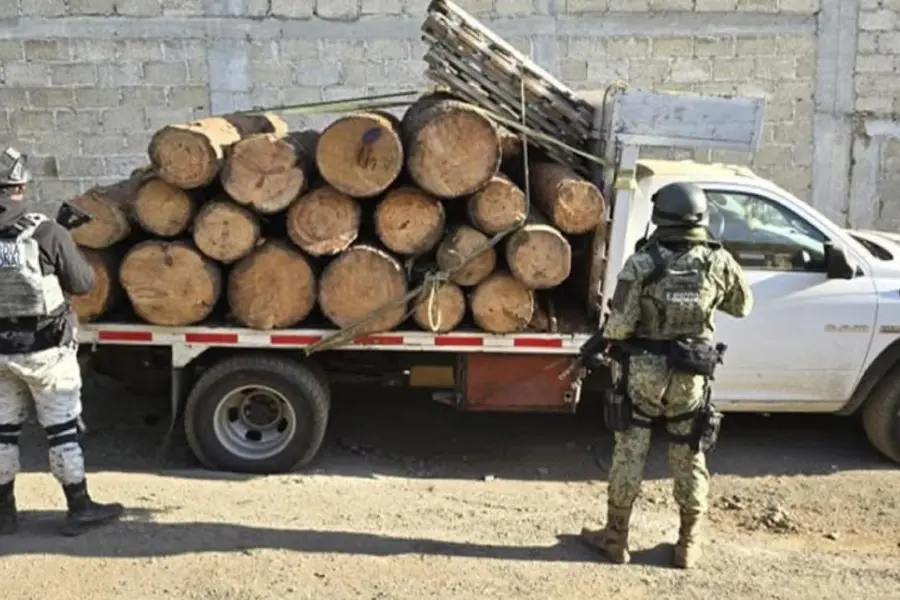Intensifican acciones contra tala ilegal en la zona fronteriza con Edomex y CDMX