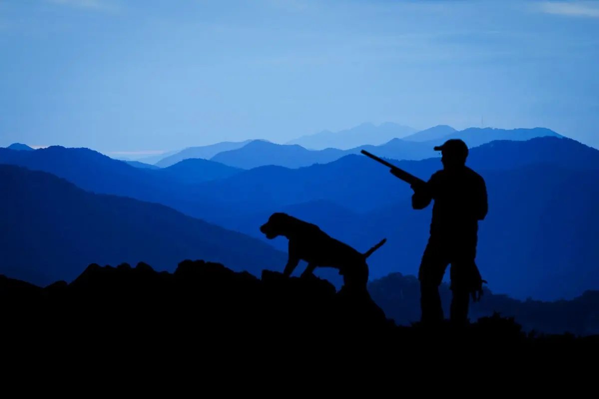 Caza de especie de Coahuila. Foto de canva.
