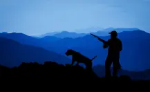 Esta especie de Coahuila es utilizada en la caza deportiva