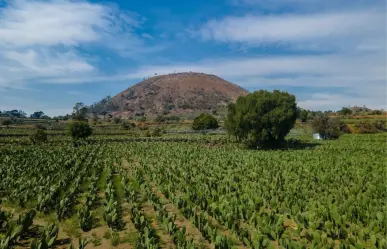 CDMX declara Patrimonio Biocultural a las Terrazas Agrícolas de cuatro alcaldías