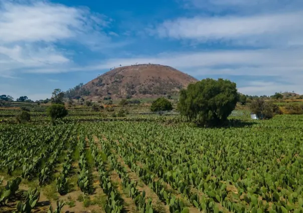 CDMX declara Patrimonio Biocultural a las Terrazas Agrícolas de cuatro alcaldías