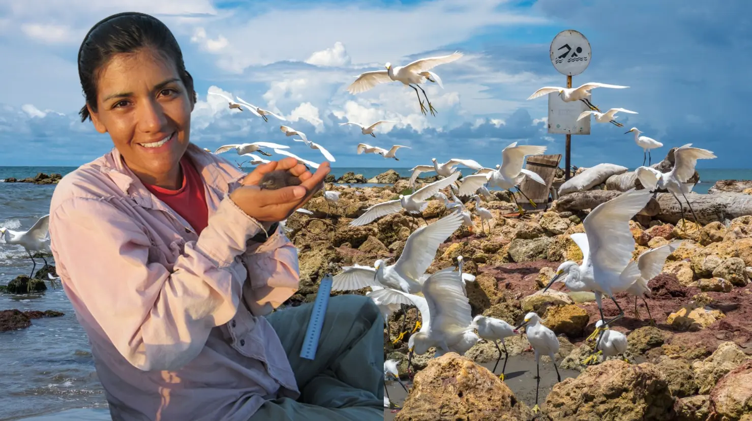Foto: Conservación de Islas | Foto: Biblioteca Canva
