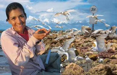 De Baja California Sur para el mundo: sudcaliforniana gana el Premio Whitley en Londres