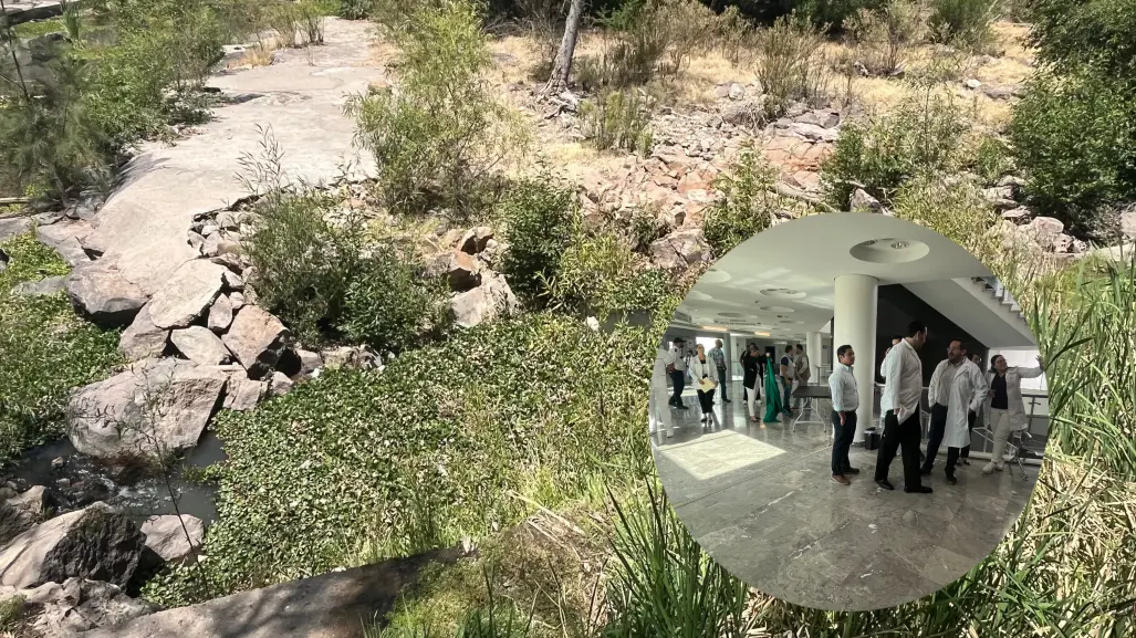 Preocupa en Durango la presencia de casos originarios de dengue
