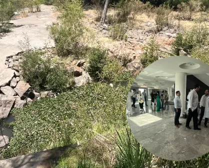Preocupa en Durango la presencia de casos originarios de dengue