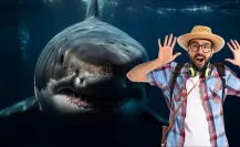 Esta es la bandera que, si ves en las playas de Tamaulipas, debes abandonar el mar inmediatamente