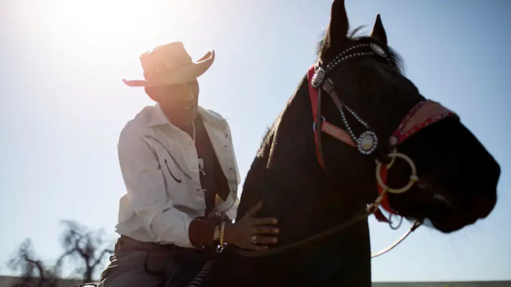 Este es el deporte que representa a Tamaulipas según la IA