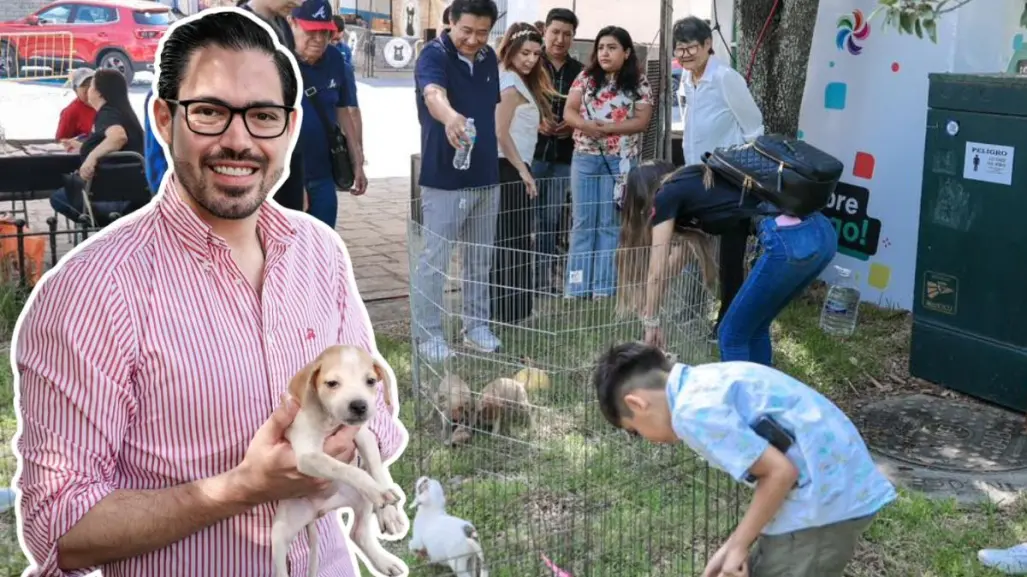David de la Peña impulsa la adopción responsable de mascotas en Santiago
