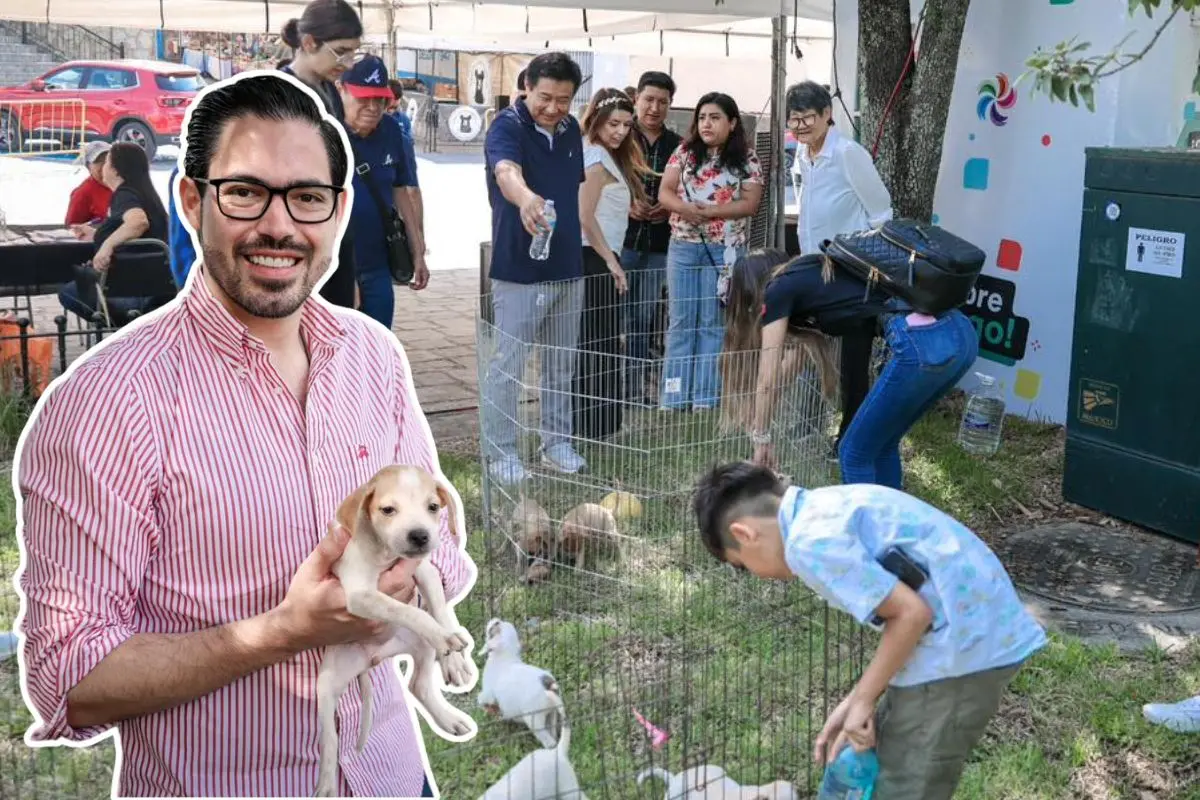 Durante cada feria de adopción de mascotas, el personal de la Dirección de Bienestar Animal realiza un registro detallado de los adoptantes Foto: facebook David de la Peña