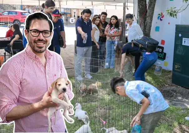 David de la Peña impulsa la adopción responsable de mascotas en Santiago