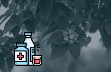 Este árbol nativo de Nuevo León puede crear jarabes caseros