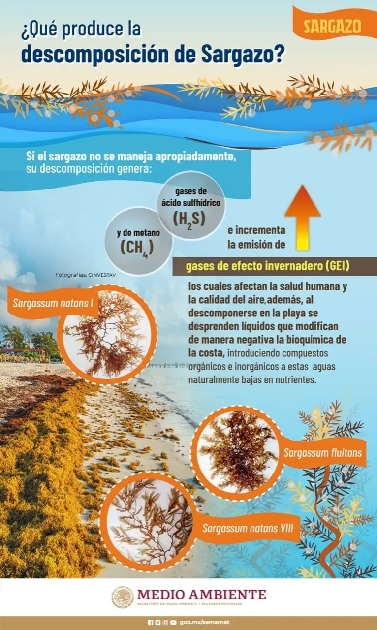 imagen recuadro