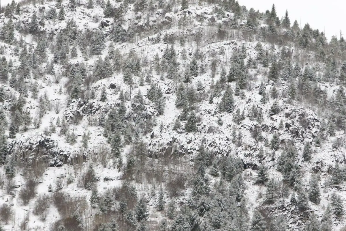 Sierra de Arteaga. Foto de México Desconocido.
