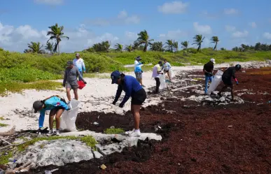 Temporada de sargazo 2025: lo que debes saber antes de viajar a la Riviera Maya