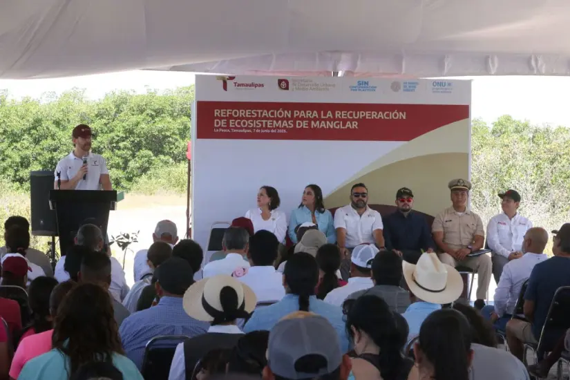 imagen recuadro
