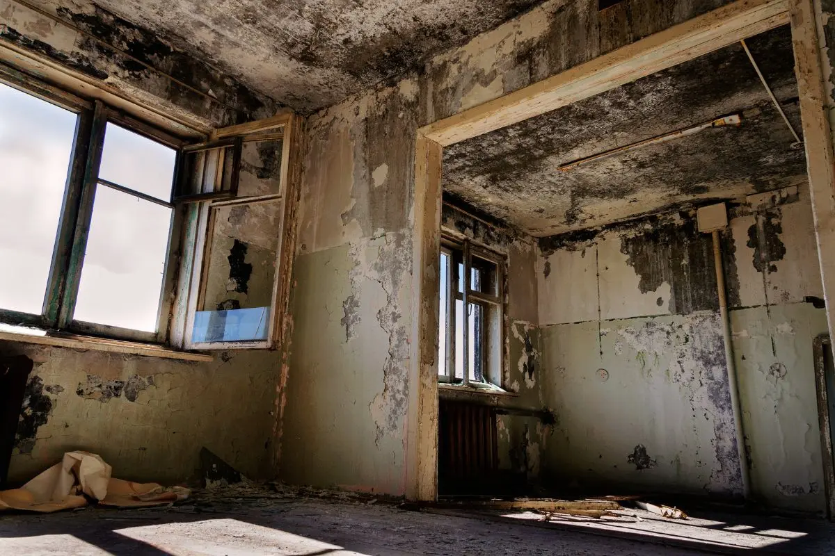 Las razones por las que existen tantas casas abandonadas en Nuevo León son diversas. Foto: Canva