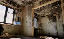 ¿Cuántas casas abandonadas se estima que hay en Nuevo León? 