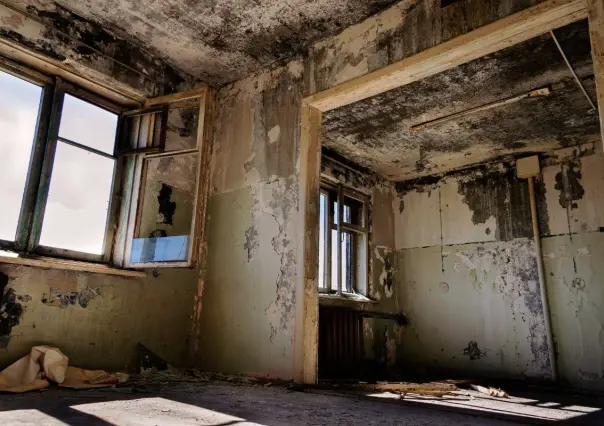 ¿Cuántas casas abandonadas se estima que hay en Nuevo León? 