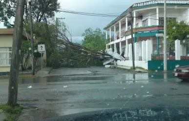 Huracán Alex: así fue el impacto de este fenómeno natural a Tamaulipas