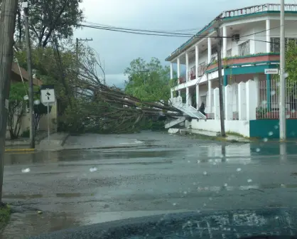Huracán Alex: así fue el impacto de este fenómeno natural a Tamaulipas