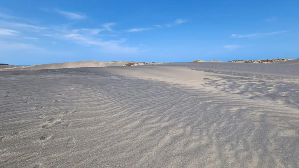 El paraíso con dunas que te hará sentir en el Sahara y se encuentra a 370 kilómetros de CDMX