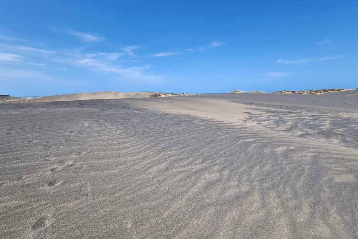 Dunas de Chachalacas en Veracruz. Foto: X (@HectorOsvaldo8)
