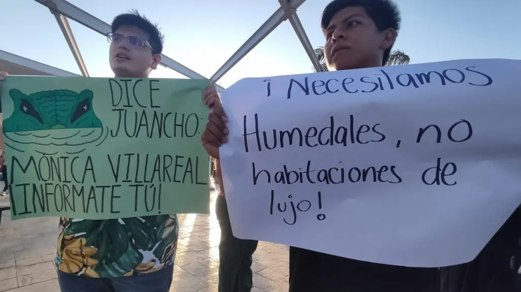 Ambientalistas reprueban proyecto hotel cinco estrellas en Tamaulipas: "mangle, sí; hoteles, no"