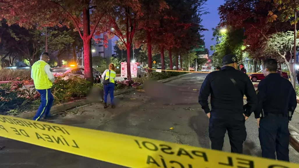 Motociclistas mueren al impactar contra un árbol en Chapultepec CDMX