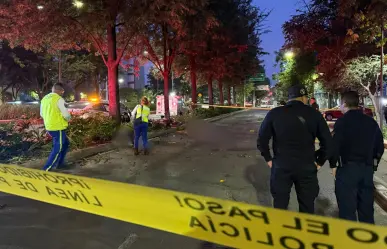 Motociclistas mueren al impactar contra un árbol en Chapultepec CDMX