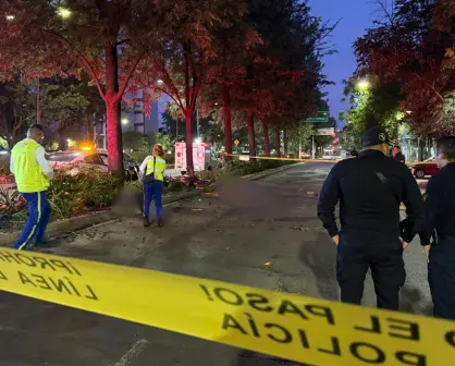 Motociclistas mueren al impactar contra un árbol en Chapultepec CDMX