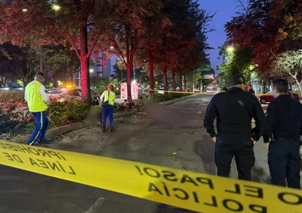 Motociclistas mueren al impactar contra un árbol en Chapultepec CDMX