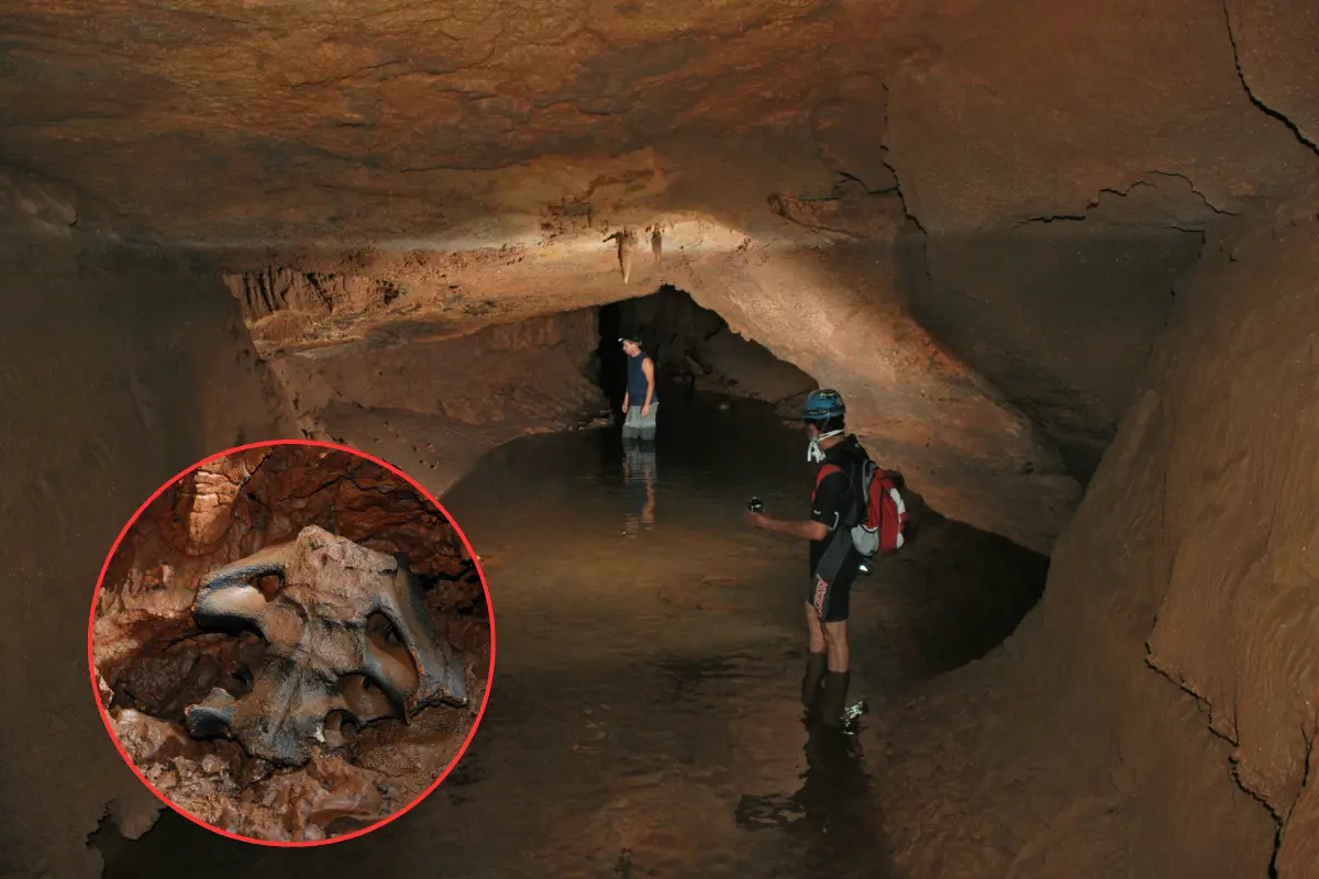 Interior de la cueva en el Biosfera de El Cielo, Gómez Farias. FOTO| Explorador Jean Louis Lacaille Múzquiz