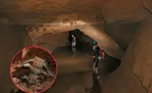 ¿Qué huesos de animal prehistórico encontraron en una cueva de El Cielo en Tamaulipas? Esto se sabe