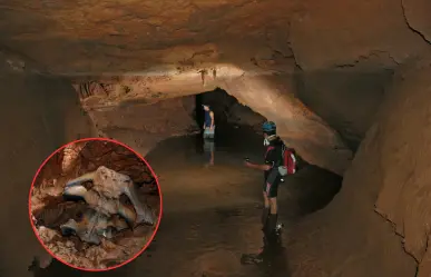 ¿Qué huesos de animal prehistórico encontraron en una cueva de El Cielo en Tamaulipas? Esto se sabe