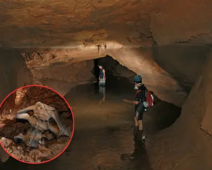 ¿Qué huesos de animal prehistórico encontraron en una cueva de El Cielo en Tamaulipas? Esto se sabe