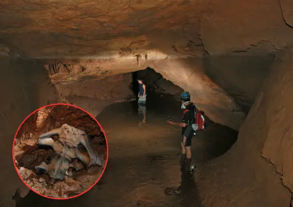 ¿Qué huesos de animal prehistórico encontraron en una cueva de El Cielo en Tamaulipas? Esto se sabe