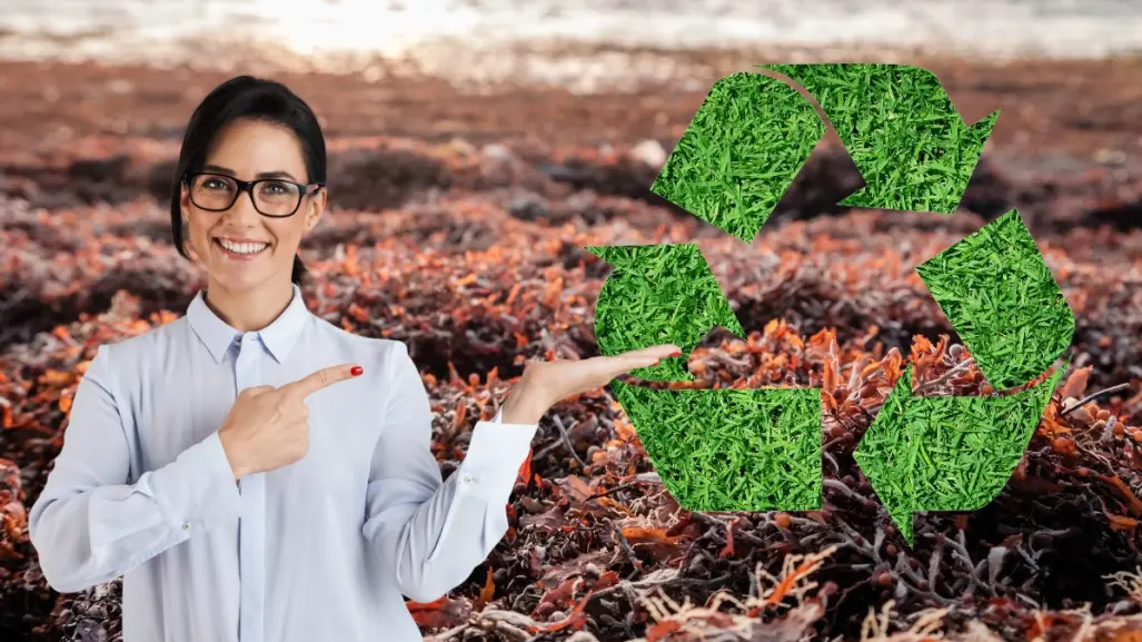 5 formas de aprovechar el sargazo que afecta la Península de Yucatán